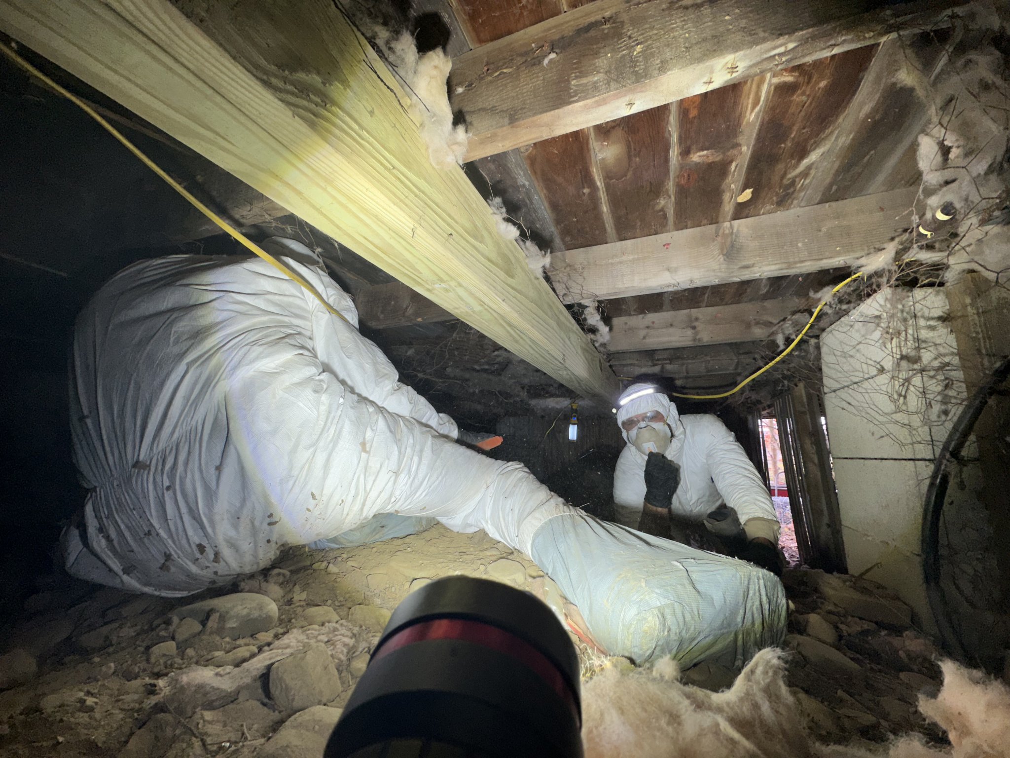 Technician in full white protective suit crawling through tight crawlspace — headlamp lit, insulation being pulled and bagged under proper containment protocol