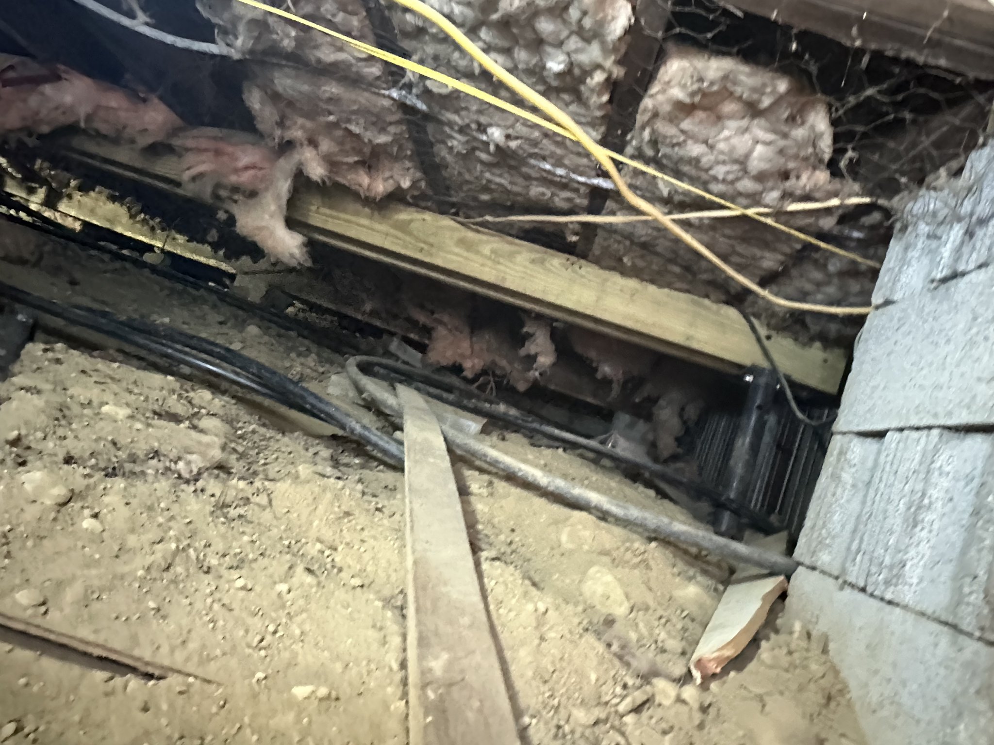 Insulation pulled from between joists, debris and contamination along foundation wall — moisture infiltration and animal disturbance throughout