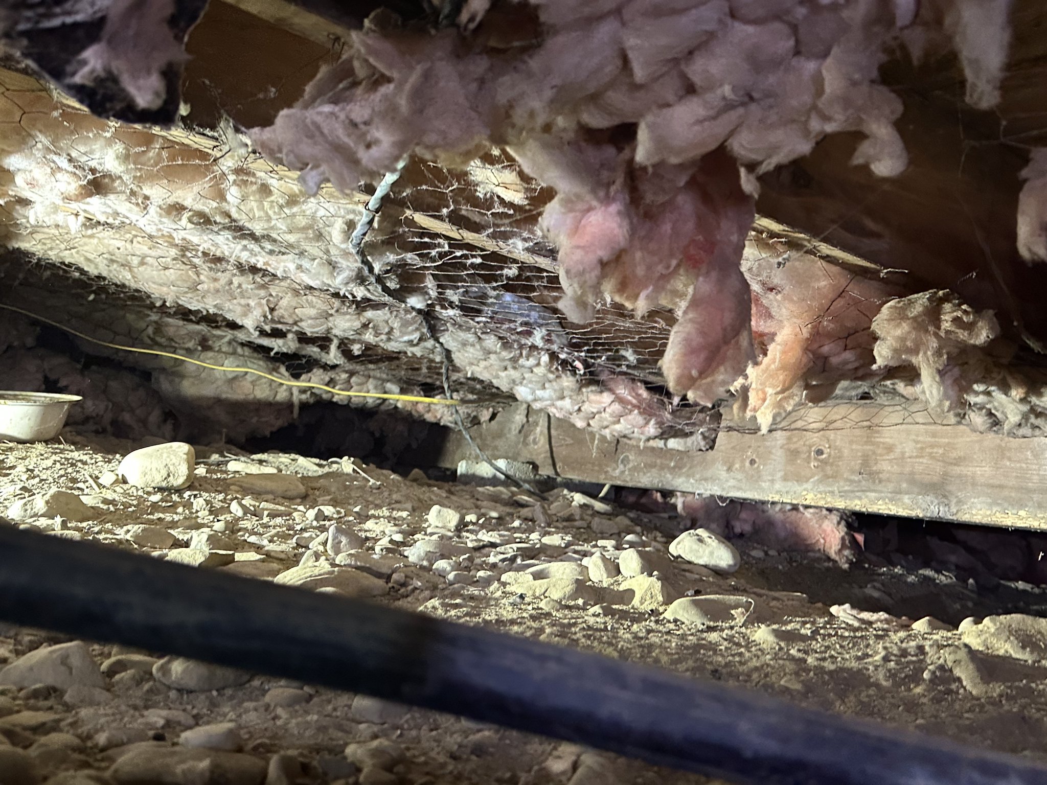 Close-up of shredded insulation, wire mesh damage, and debris on crawlspace floor — full removal and soil treatment required before restoration