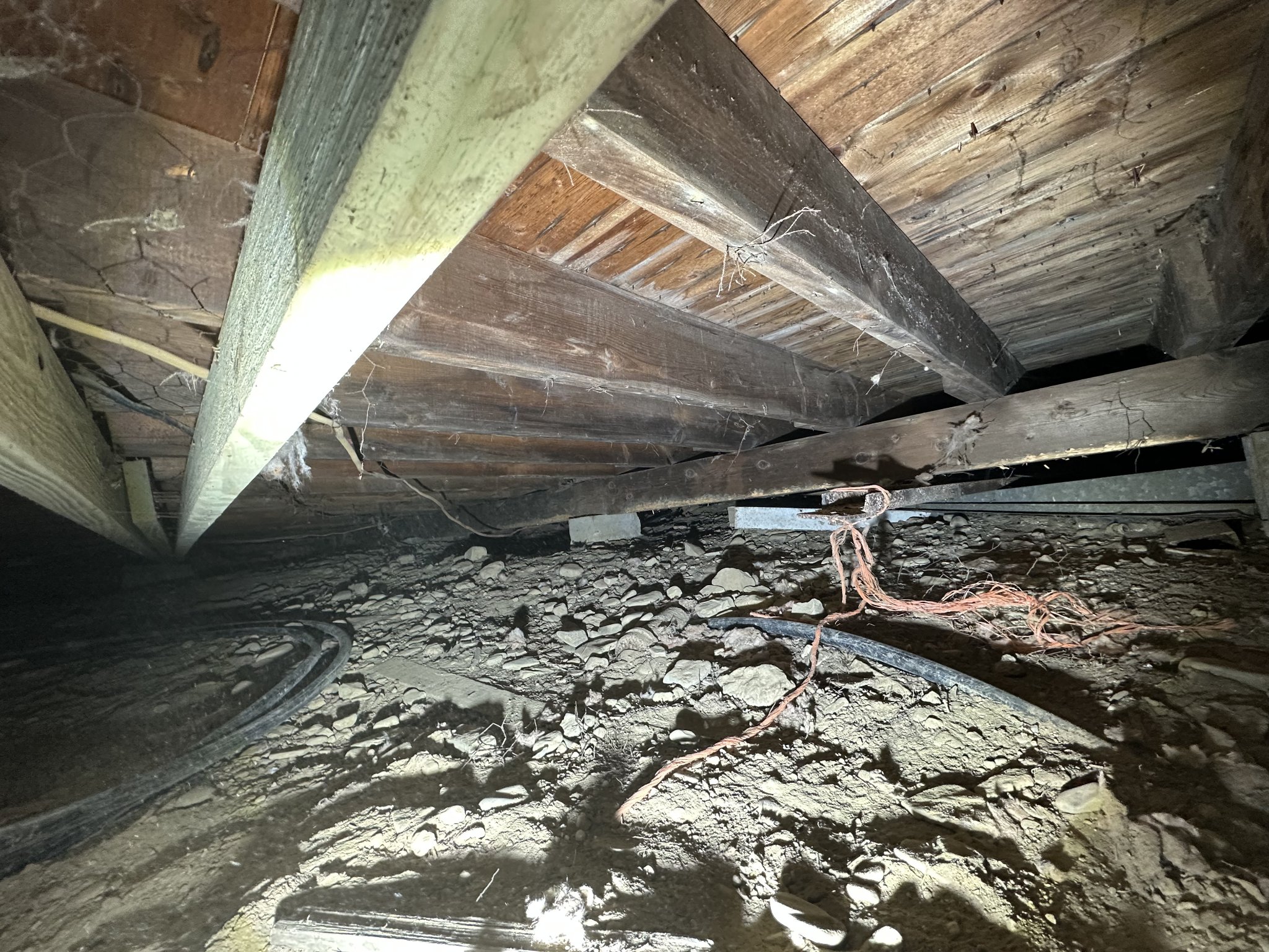 Crawlspace mid-cleanup — insulation and nesting material removed from between joists, contaminated soil floor staged for treatment