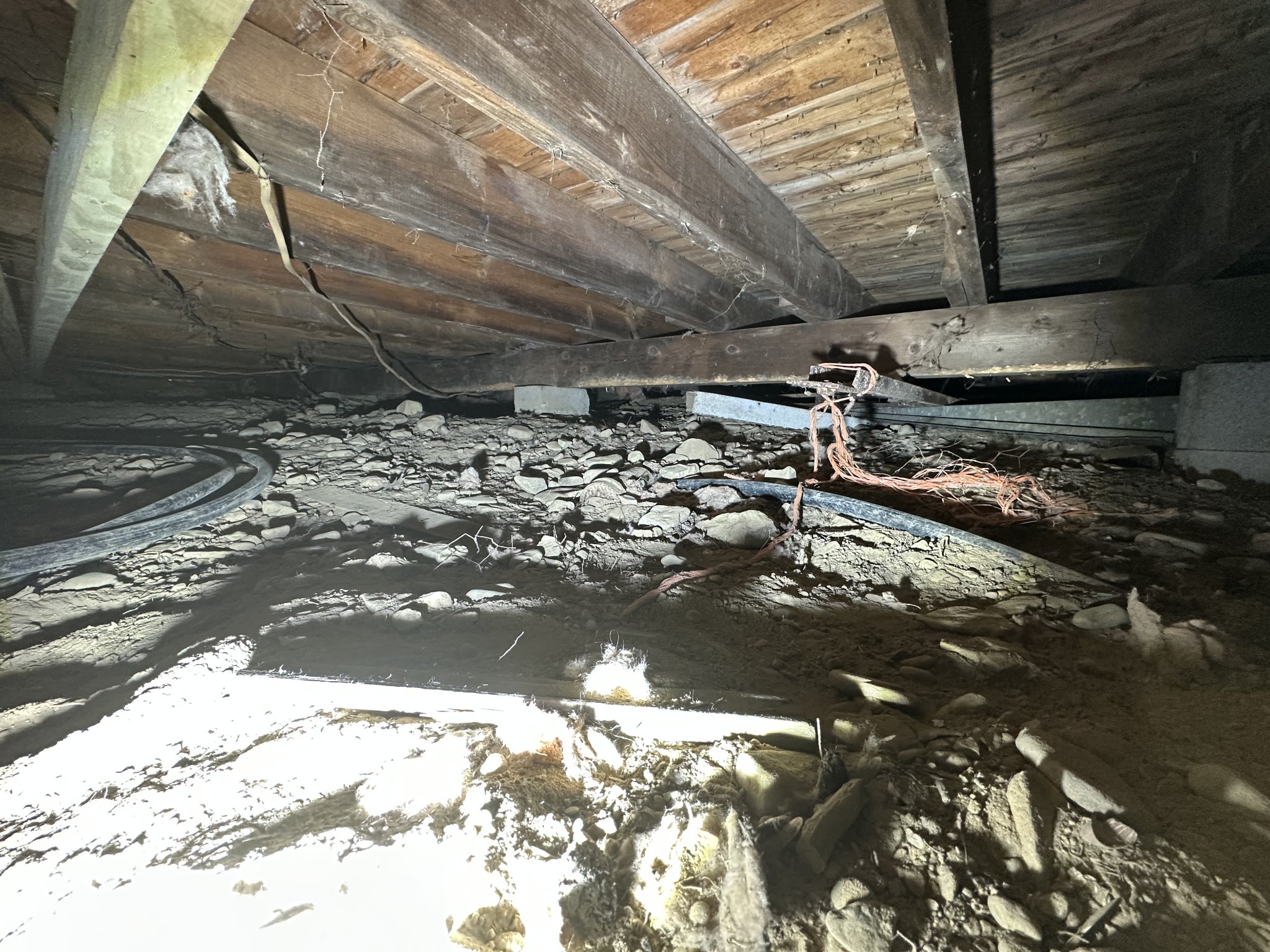Cleared crawlspace floor with exposed utility lines and foundation piers — photographed before EPA-registered disinfectant application