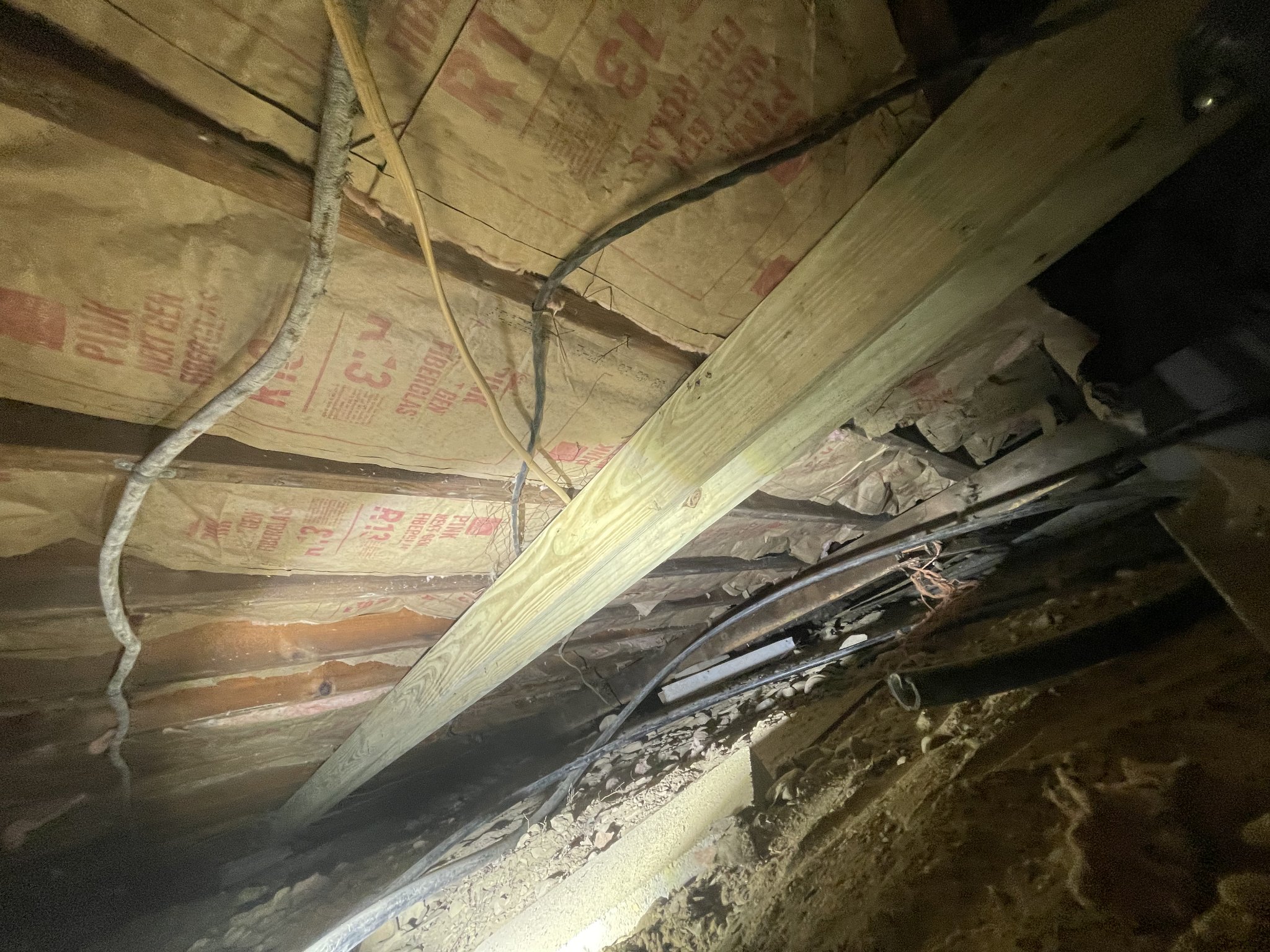 Full joist bay documented post-remediation — torn insulation cleared, wiring and framing exposed, contaminated material removed from entire span